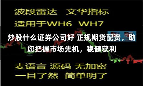 炒股什么证券公司好 正规期货配资，助您把握市场先机，稳健获利