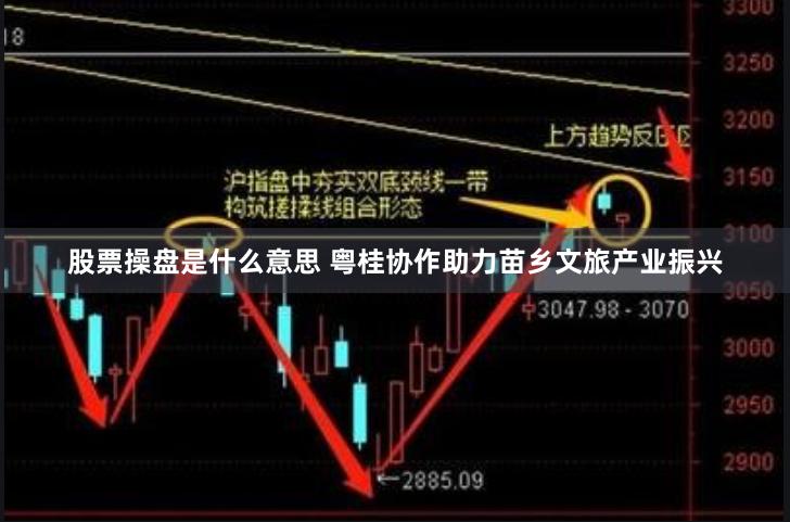 股票操盘是什么意思 粤桂协作助力苗乡文旅产业振兴