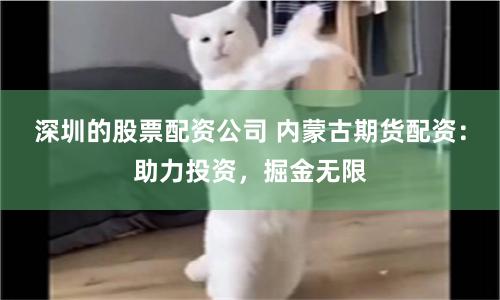 深圳的股票配资公司 内蒙古期货配资：助力投资，掘金无限