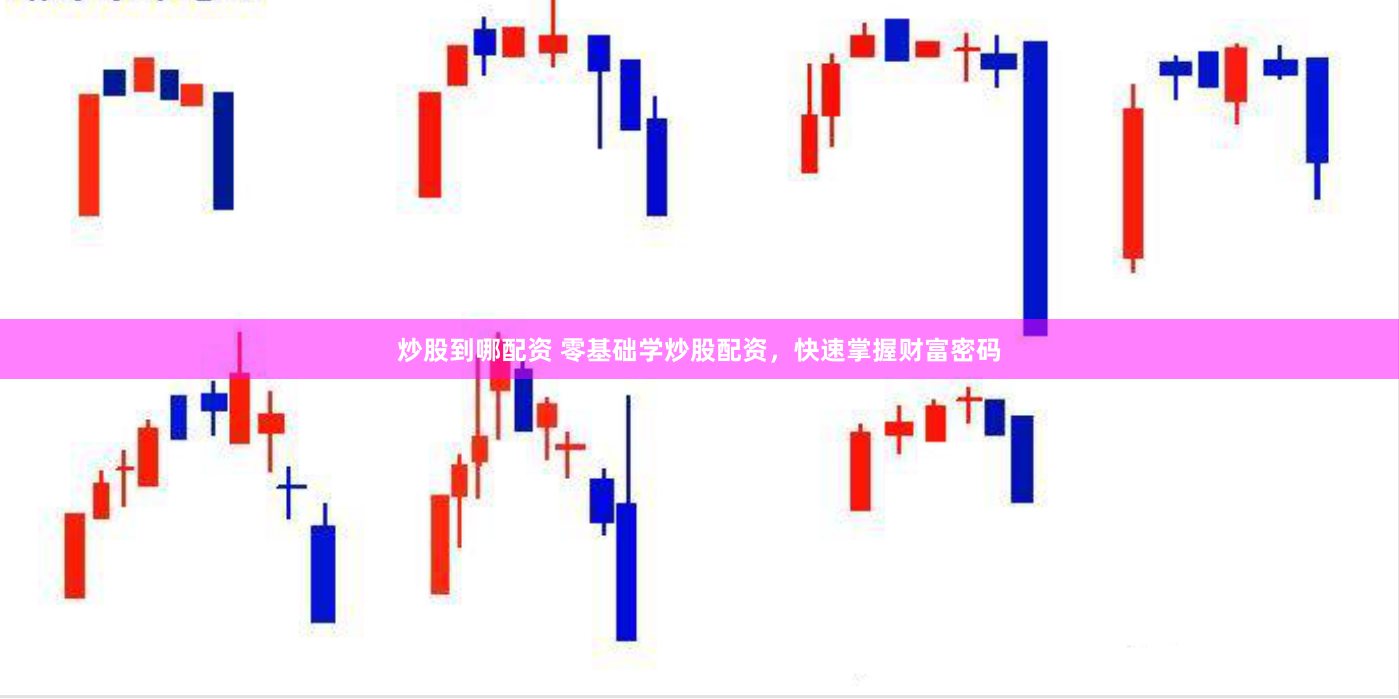 炒股到哪配资 零基础学炒股配资，快速掌握财富密码