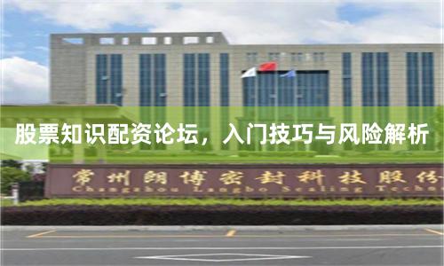 股票知识配资论坛，入门技巧与风险解析