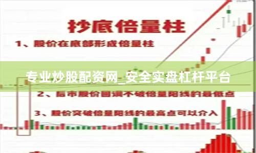 专业炒股配资网_安全实盘杠杆平台