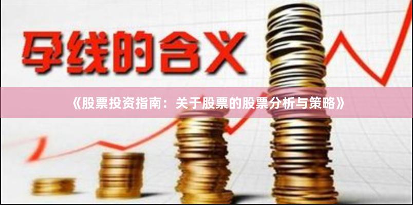 《股票投资指南：关于股票的股票分析与策略》